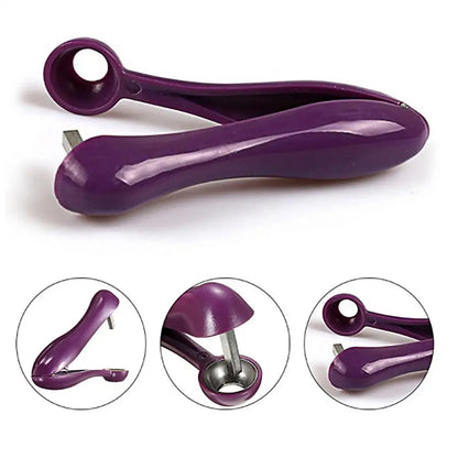 Cheery Seed Remover