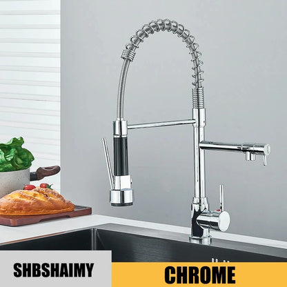 Kitchen Sink Faucet Pull Down Tap with Dual Spout