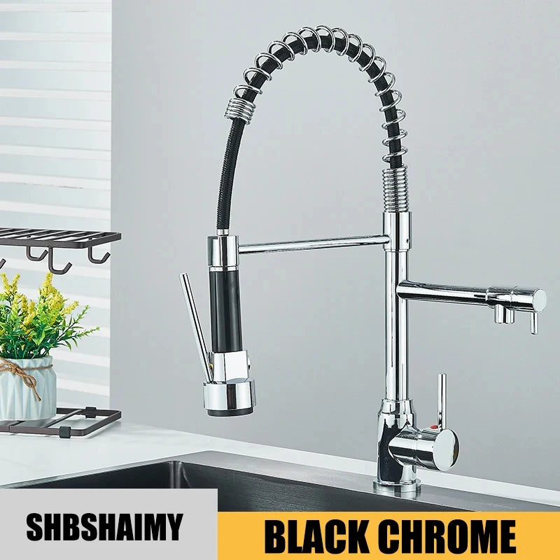 Kitchen Sink Faucet Pull Down Tap with Dual Spout